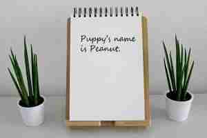 Notepad that reads puppy's name is Peanut