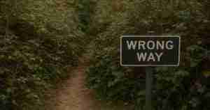 a dirt path overgrown with thorny bushes and a sign that says "wrong way"
