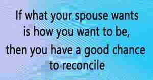 if what your spouse wants is how you want to be, then you have a good chance to reconcile