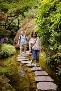 couple following stepping stones