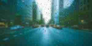 blurry view