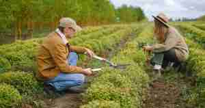 couple pruning plants together relationship activity