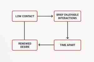 flow chart showing how small, positive, spaced out interactions build desire
